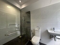 Dunearn Road (D11), Condominium #456270081